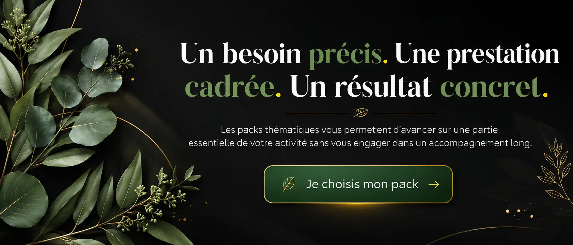 Banniere CTA Packs